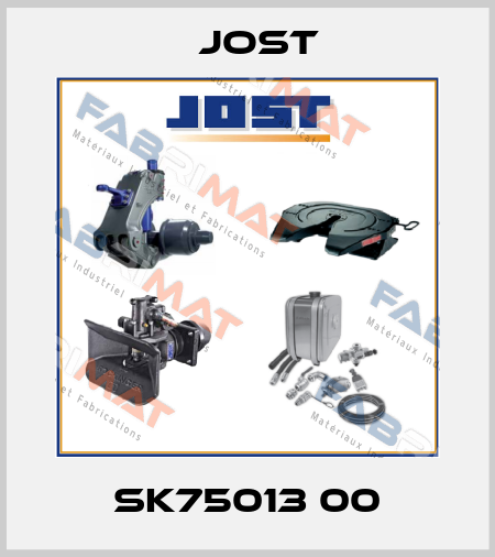 SK75013 00 Jost
