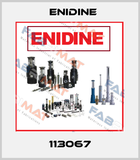  113067 Enidine