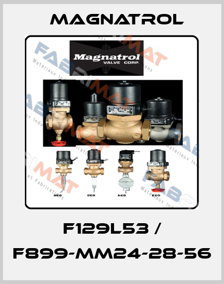 F129L53 / F899-MM24-28-56 Magnatrol