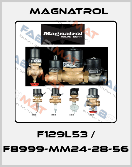 F129L53 / F8999-MM24-28-56 Magnatrol
