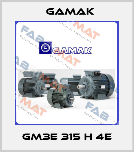 GM3E 315 H 4e Gamak
