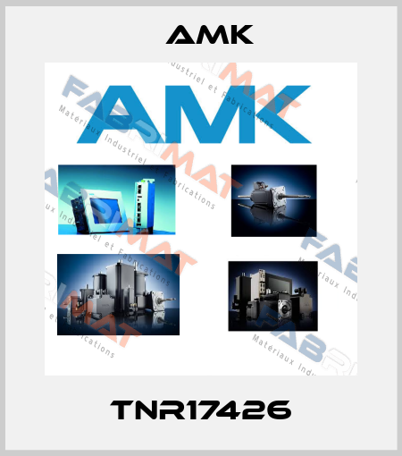 TNR17426 AMK