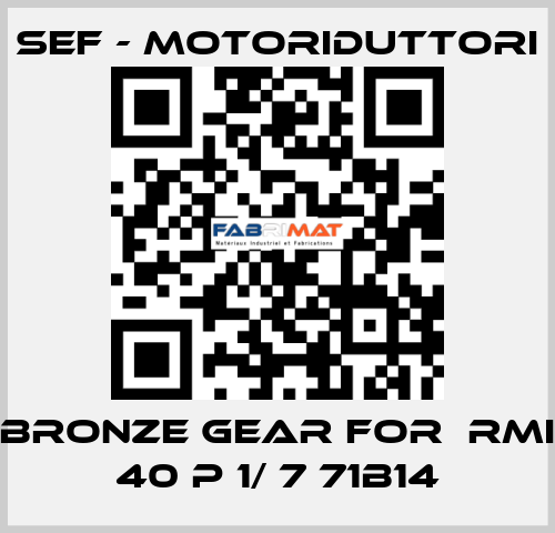 bronze gear for  RMI 40 P 1/ 7 71B14 SEF - MOTORIDUTTORI