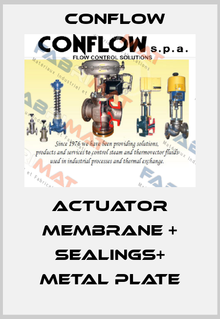 ACTUATOR MEMBRANE + SEALINGS+ METAL PLATE CONFLOW