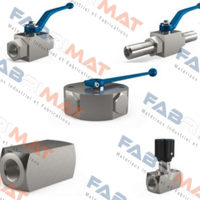 BKH-DN13-1/2"NPT-192A Zn Mha Zentgraf