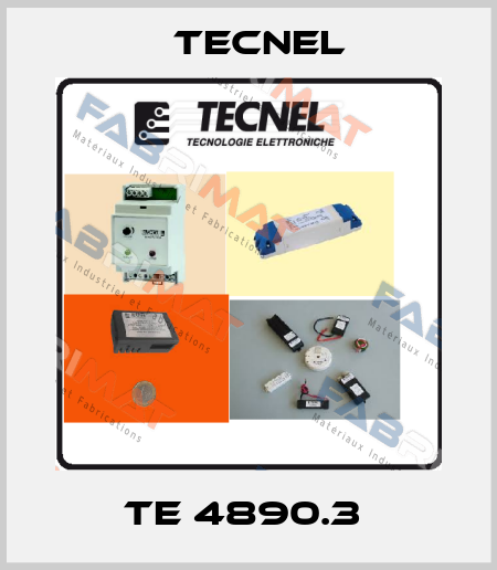 TE 4890.3  Tecnel