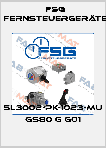 SL3002-PK-1023-MU GS80 G G01 FSG Fernsteuergeräte
