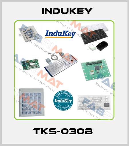 TKS-030B  InduKey