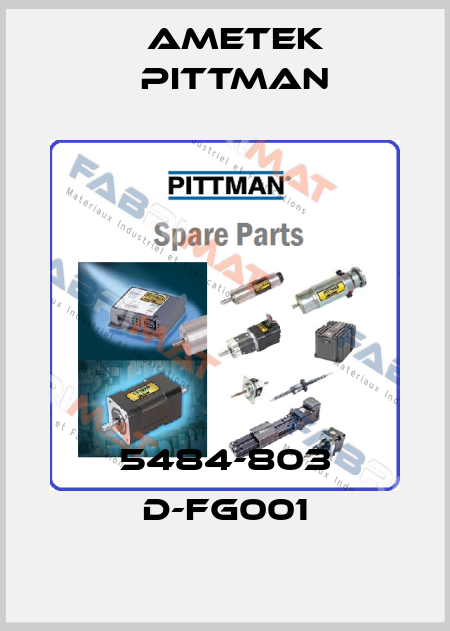 5484-803 D-FG001 Ametek Pittman