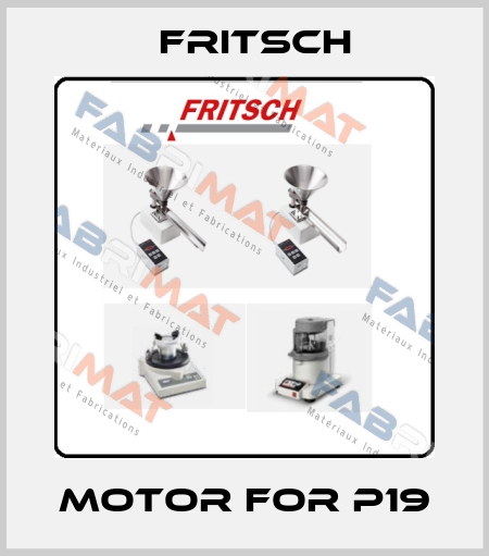 Motor for p19 Fritsch