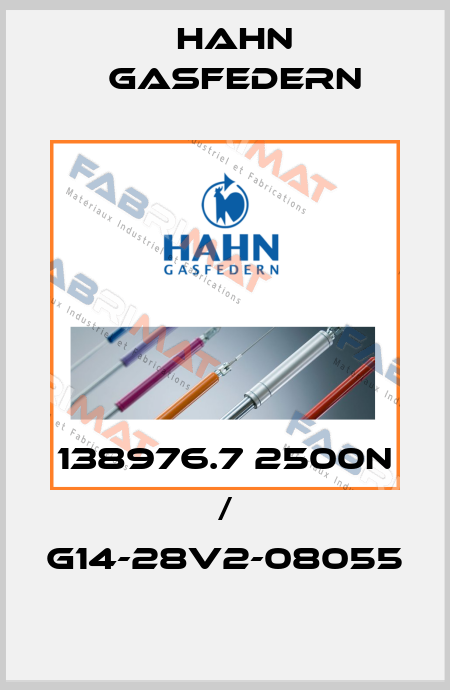 138976.7 2500N / G14-28V2-08055 Hahn Gasfedern