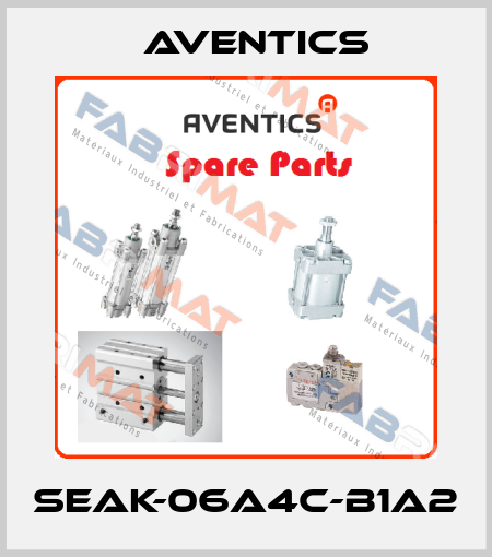 SEAK-06A4C-B1A2 Aventics