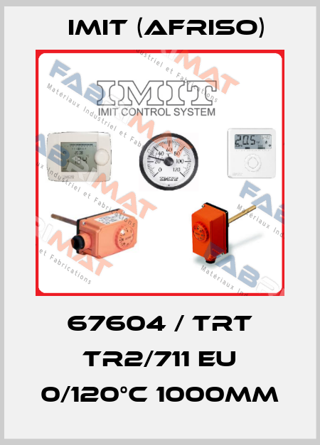 67604 / TRT TR2/711 EU 0/120°C 1000mm IMIT (Afriso)