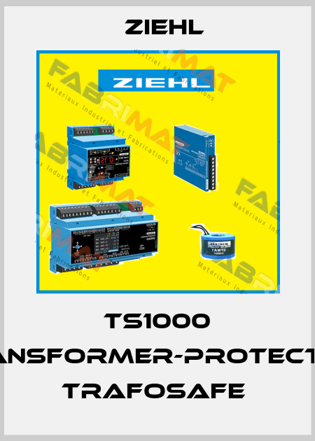 TS1000 TRANSFORMER-PROTECTION TRAFOSAFE  Ziehl
