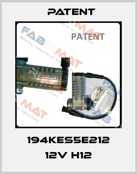 194KES5E212 12V H12 Patent
