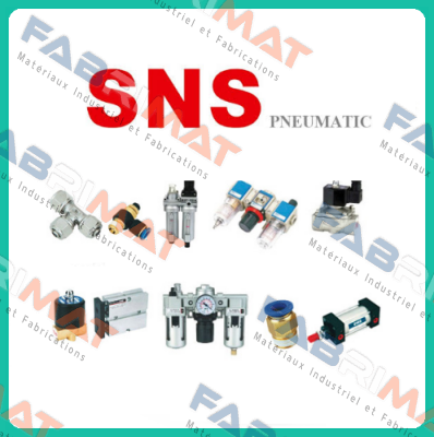 4A310-10 SNS Pneumatic