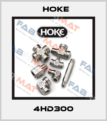 4HD300 Hoke