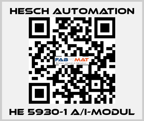 HE 5930-1 A/I-Modul Hesch Automation