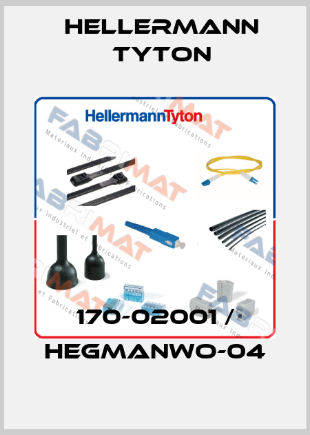170-02001 / HEGMANWO-04 Hellermann Tyton