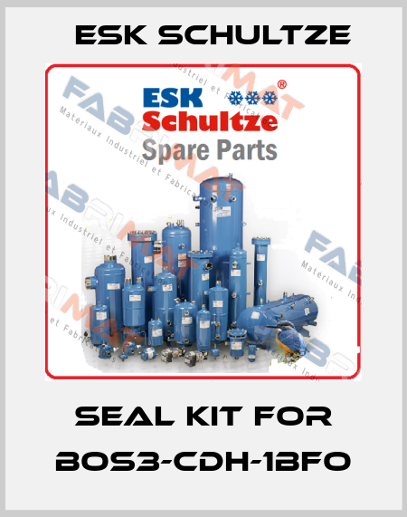 Seal kit for BOS3-CDH-1BFO Esk Schultze