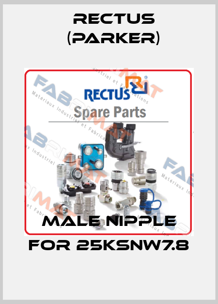 male nipple for 25KSNW7.8 Rectus (Parker)