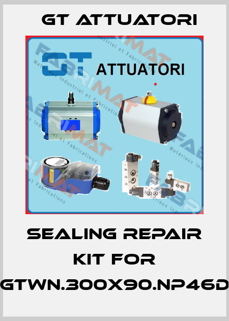 sealing repair kit for GTWN.300x90.NP46D GT Attuatori