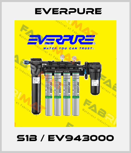 S1B / EV943000 Everpure