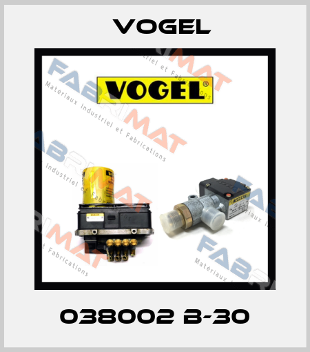 038002 B-30 Vogel