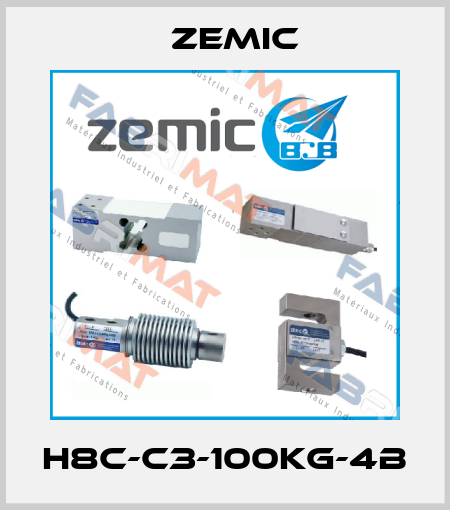 H8C-C3-100kg-4B ZEMIC
