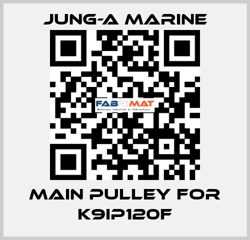 main pulley for K9IP120F JUNG-A MARINE