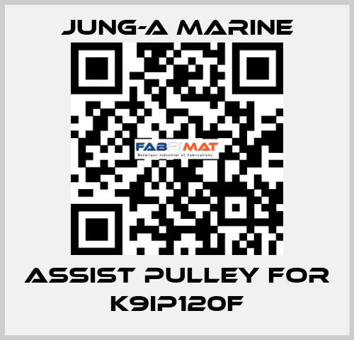 assist pulley for K9IP120F JUNG-A MARINE