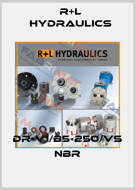 DR-V1/B5-250/VS NBR R+L HYDRAULICS