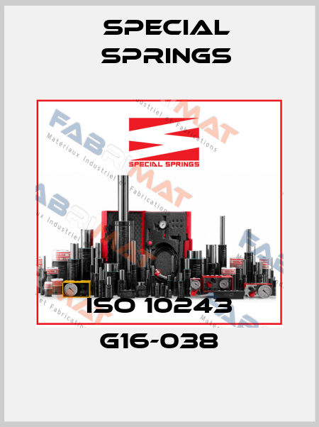 ISO 10243 G16-038 Special Springs