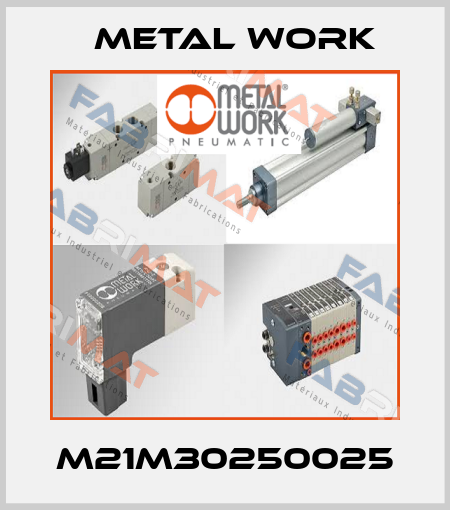 M21M30250025 Metal Work