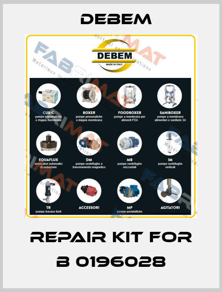Repair kit for B 0196028 Debem