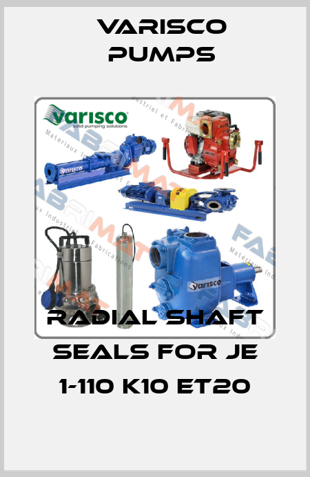 Radial shaft seals for JE 1-110 K10 ET20 Varisco pumps
