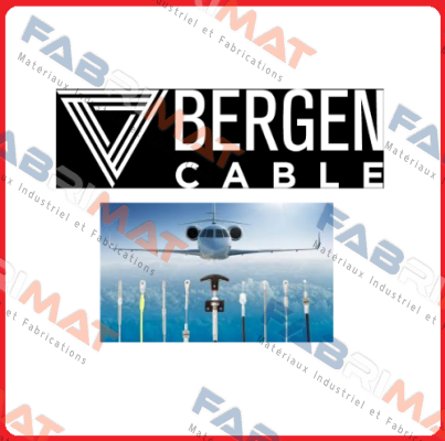 45-6N Bergen Cable Technology Llc