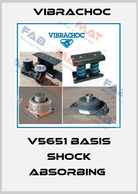 V5651 BASIS SHOCK ABSORBING  Vibrachoc