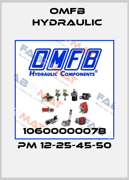 10600000078 PM 12-25-45-50 OMFB Hydraulic