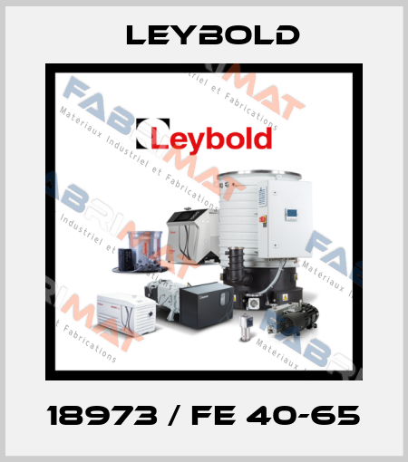 18973 / FE 40-65 Leybold
