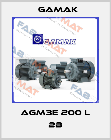 AGM3E 200 L 2b Gamak