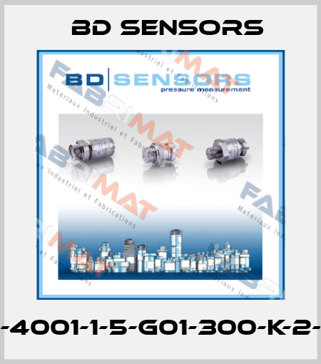 590-4001-1-5-G01-300-K-2-000 Bd Sensors