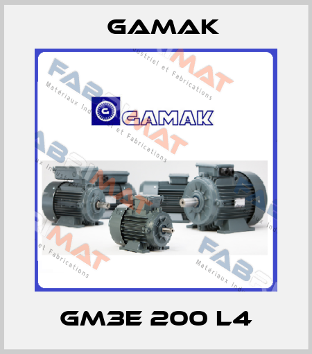 GM3E 200 L4 Gamak