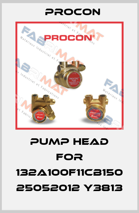 pump head for 132A100F11CB150 25052012 Y3813 Procon