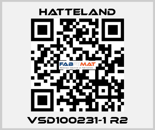 VSD100231-1 R2 HATTELAND