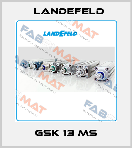 GSK 13 MS Landefeld