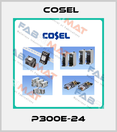 P300E-24 Cosel