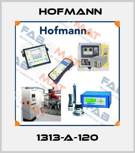 1313-A-120 Hofmann