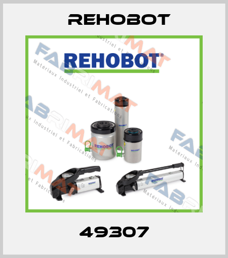 49307 Rehobot