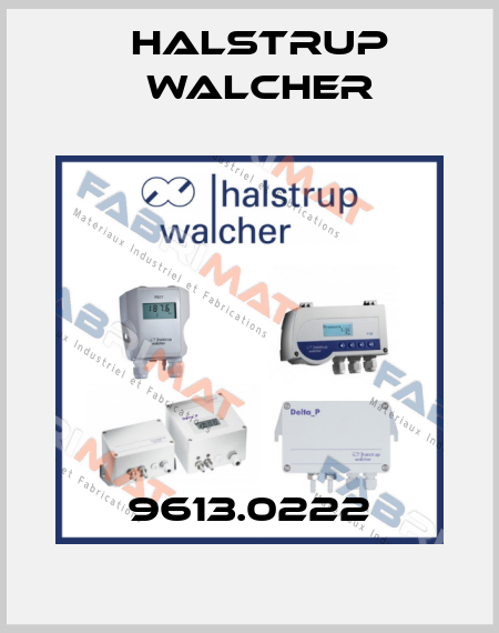 9613.0222 Halstrup Walcher
